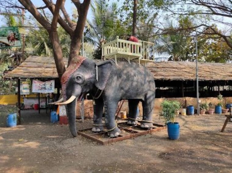 Sadhana Restaurant-5